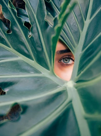 drew-dizzy-graham-cTKGZJTMJQU-unsplash%20(1)